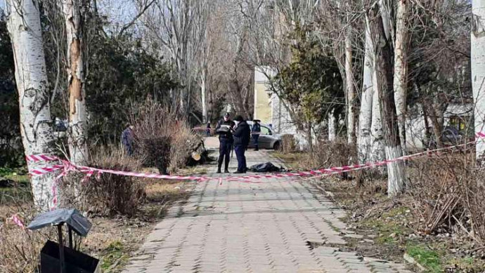 Рухнувшее дерево убило человека в Керчи Рухнувшее дерево убило человека в Керчи