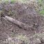 В Керчи в районе Комсомольского парка обнаружили авиабомбу