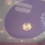 Продаём и устанавливаем натяжные потолки лучших производителей Франции, Германии и Китая.